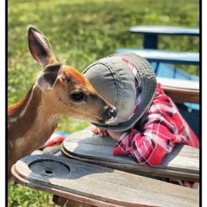 Meet your Posher, Theresa